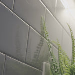 Magnetic flexible mount for phone